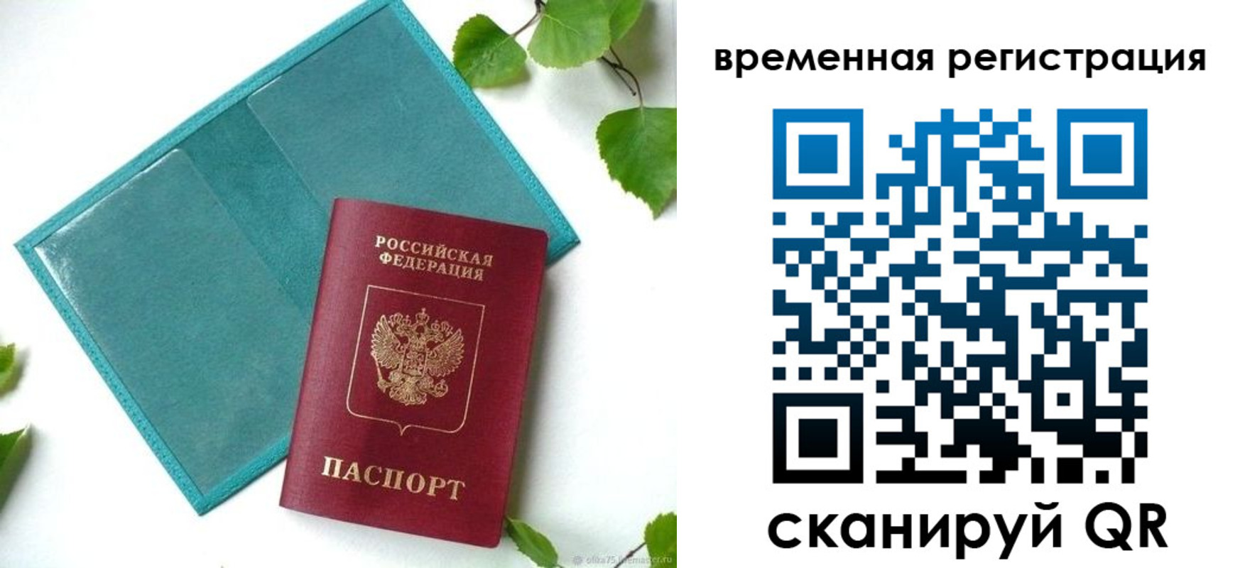 прописка иностранных граждан в Ставропольском крае
